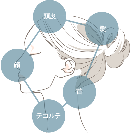頭皮・髪・首・デコルテ・顔がひとつながりであることを示す図解